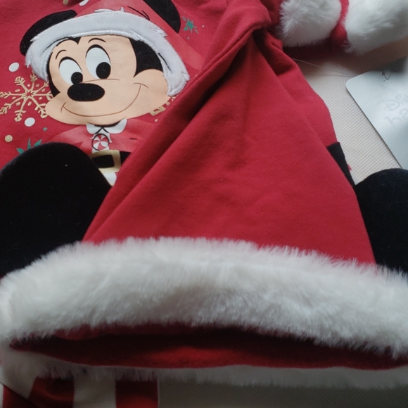 Disney Christmas Outfit - Picture 4 of 4